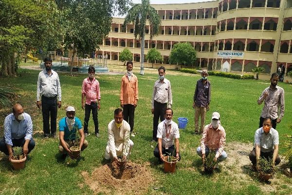 MVM maharishi Nagar Staff Planting Medicinal Plants on World Environment Day-2020
